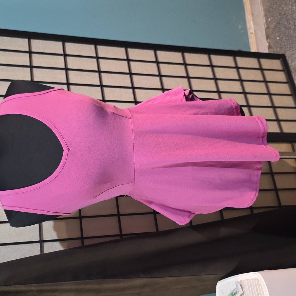 Love Brand Pink Peplum Sleeveless Blouse